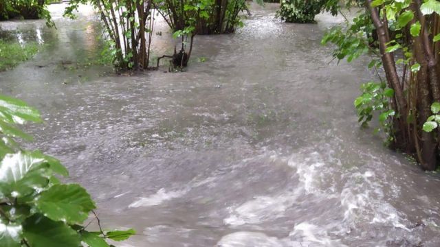 Zəyəm kəndində fındıq bağları suyun içində