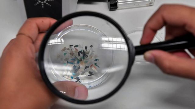Mikroplastiklərin lupa altında görüntüsü