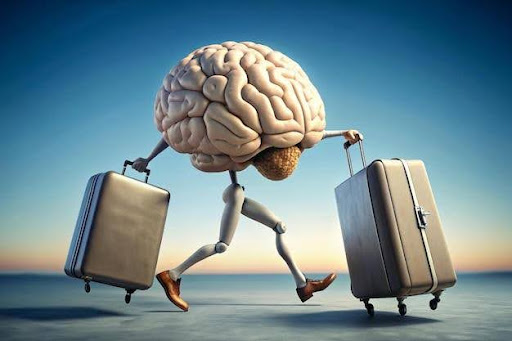 Диплом в чемодан: почему Южный Кавказ учится дома, а работает за границей