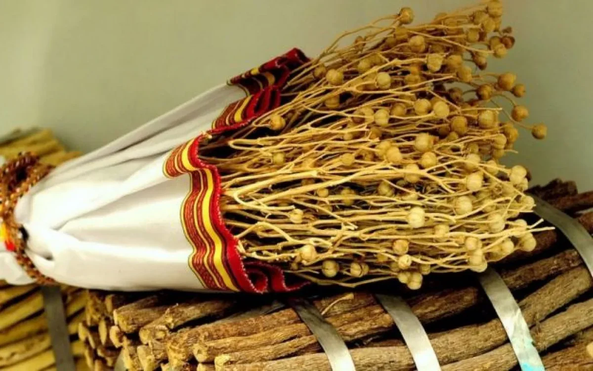 Rusiyaya üzərlik aparmayın - AZAL sərnişinlərə müraciət etdi